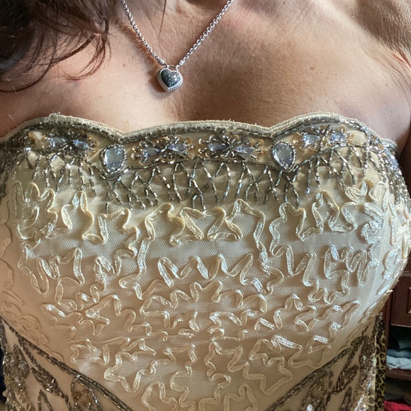 Beaded gown with ostrich feathers - Picture 3 of 8